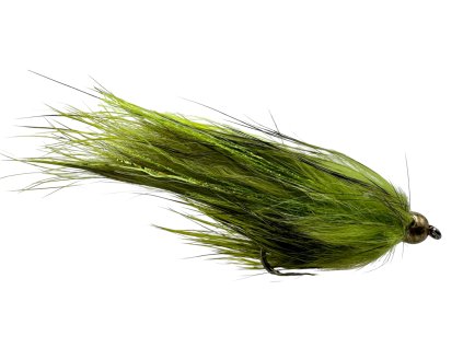 Photoroom 20260131 133749