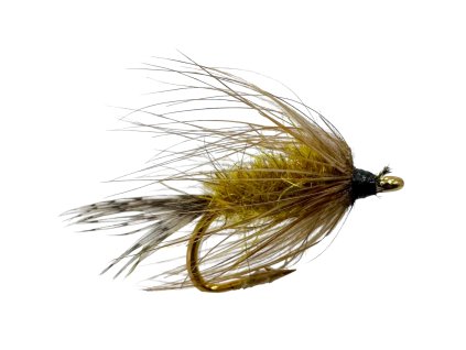 Photoroom 20260131 132827