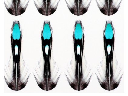 Sybai Umělé Peří Jungle Cock Substitute Blue (Délka 35mm)