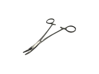 Photoroom 20260212 122219