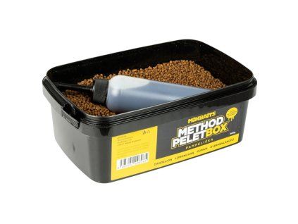 pampeliska (1) Photoroom