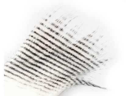 265701 900x720