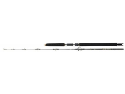 55388 rybarsky prut daiwa bg sea jigger