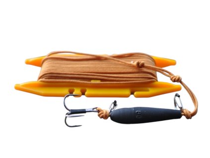 Photoroom 20260101 184248