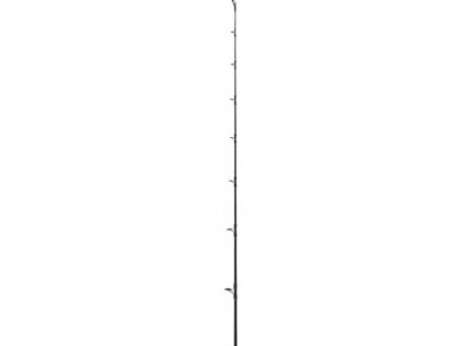 Black Cat Perfect Passion Allstar 2,10m 200g 1-díl