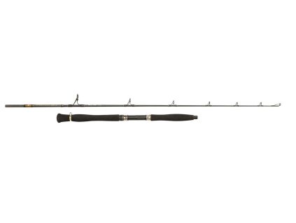 Penn Prut Legion Cat Gold Belly Pump 1,68m 200g 1+1díl