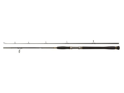 Penn Prut Legion Cat Gold Clonk 2,10m 100-250g 2-díl