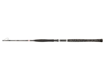 Penn Prut Legion Cat Silver Verticat 1,90m 300g 2-díl