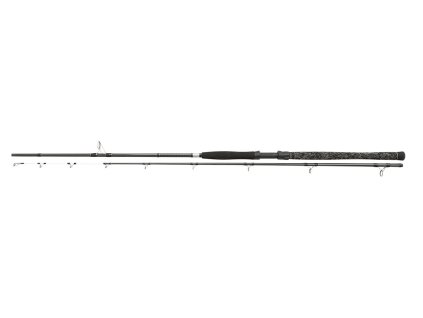 Penn Prut Legion Cat Silver RVR Monster 2,90m 450g 2-díl