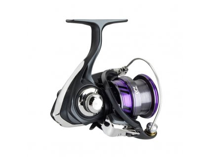 daiwa prorex x lt 2