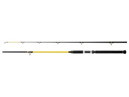 WFT Prut Never Crack Catfish Boat LTC 3,0m 250-1000g 2-díl