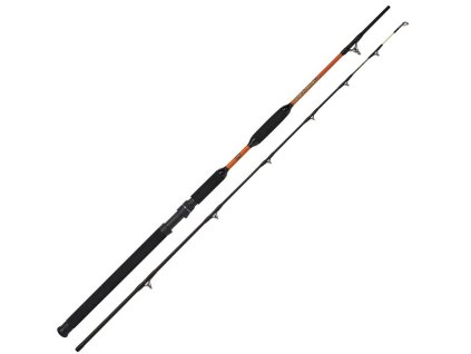 WFT Prut Never Crack Bank Cat 200-1000g 3,15m 2-díl