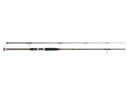WFT Prut International Ocean Fighter 2,7m 100-400g 2-díl