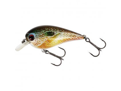 Westin Wobler BassBite 2.5 Squarebill Floating Real 7 cm