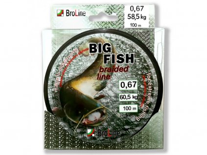 BROLINE Šňůra Big Fish 8x Dyn 167m