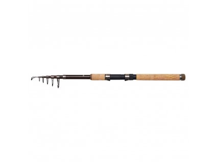 dam prut backbone ii tele 3 m 30 80 g.Png