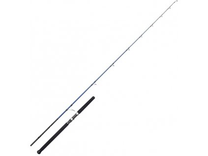 Savage Gear Prut SGS6 Offshore Plug 2,49m 50-120g 1+1-díl