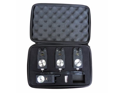 814 P sada doc rf 3 1