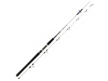 Daiwa Prut Grandwave Pilk 2,4m 80-150g 2-díl