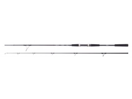 Daiwa Prut Team Taimen 2.75m 30-125g 2-díl