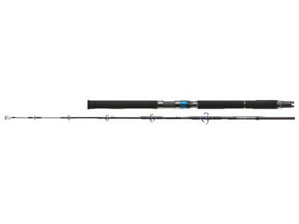 Daiwa Prut Saltiga AP J58 XXHS-A 1.73m 180-400g