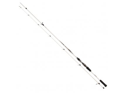 Daiwa Prut Ballistic LTD Spin 2,40m 30-70g 2-díl