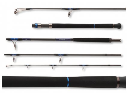 Daiwa Prut Saltiga AP 2,55m 50-160g 4-díl