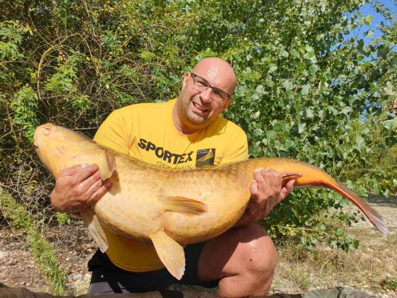 Sportex Prut Beyond Carp 3,66m 3lb 2-díl