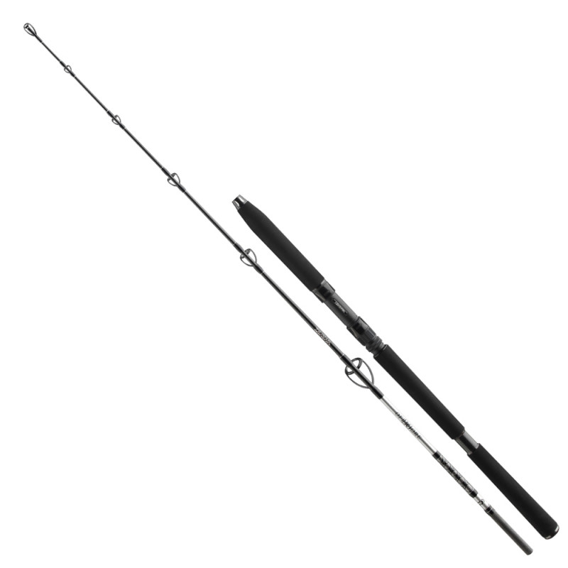 Daiwa Prut BG Ses Jigger 1,7m 150-400g 1+1díl