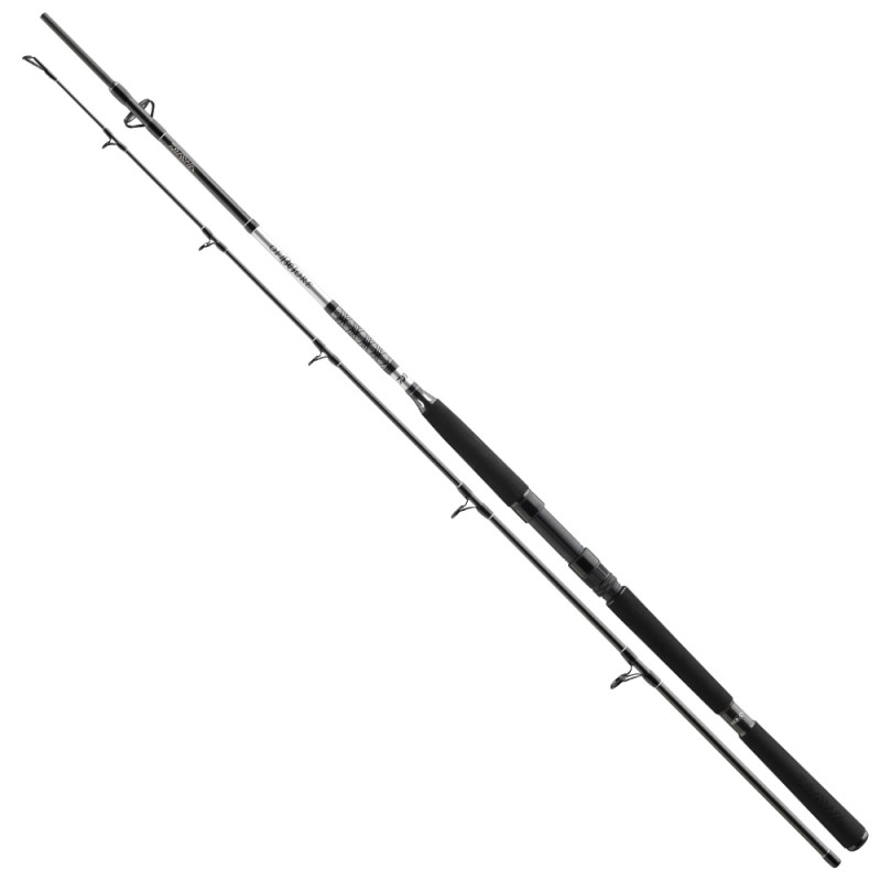 Daiwa Prut  BG Offshore Pilk 2,4m 40-125g 2-díl