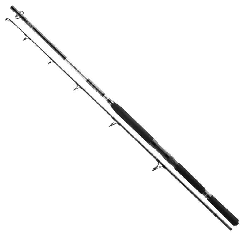 Daiwa Prut BG Popper 2,3m 40-150g 2-díl