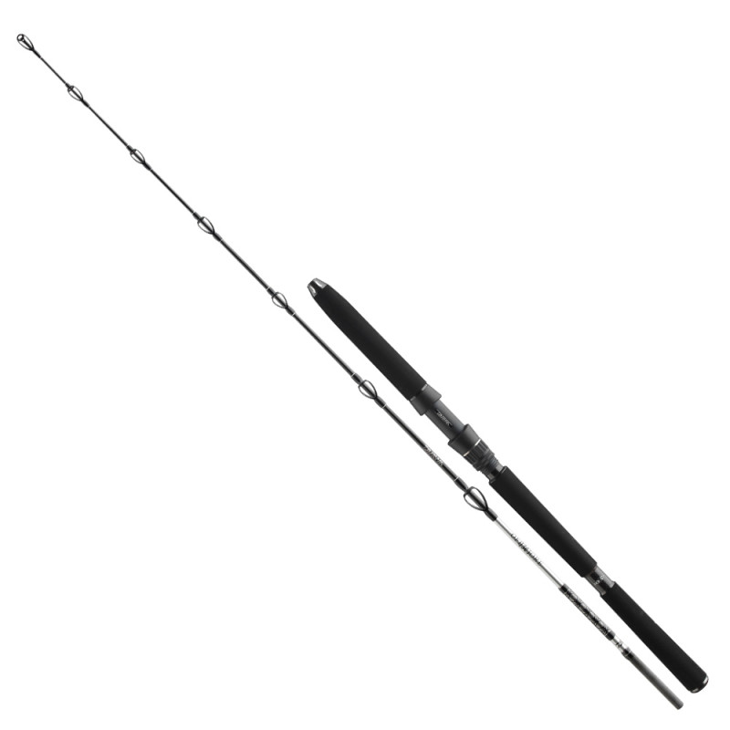 Daiwa Prut BG Deep Sea 1,75m 100-300g 1+1-díl