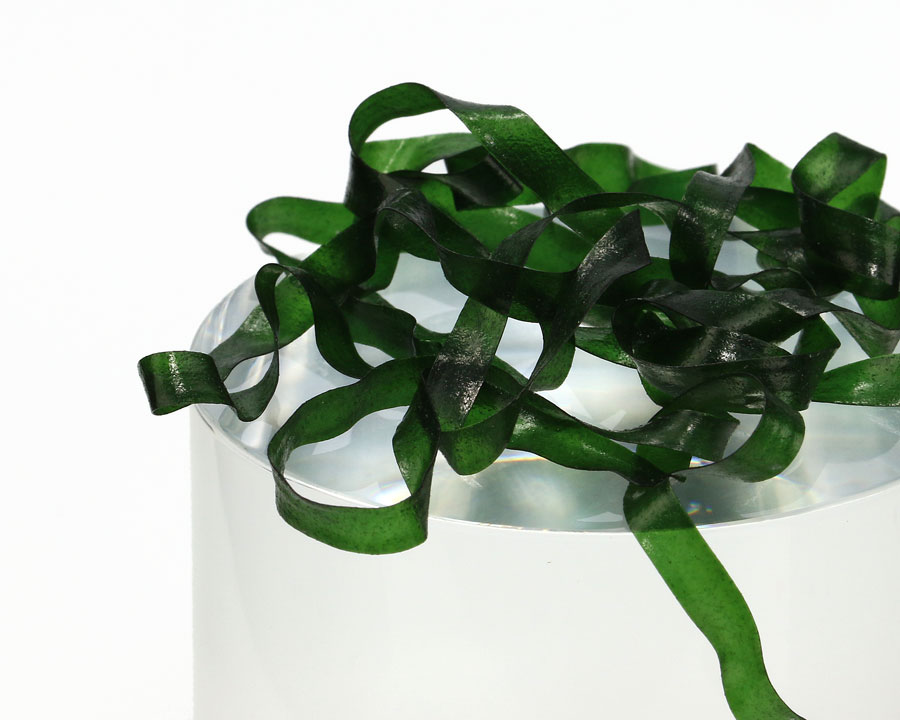 Sybai Body Stretch Dark Green 1m Průměr: 6mm