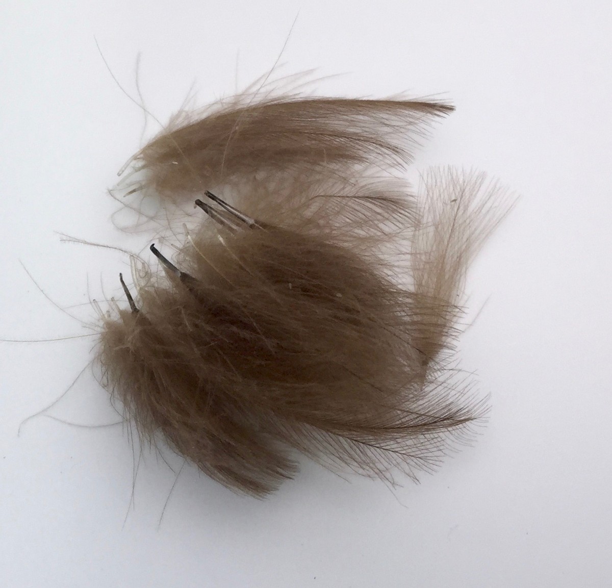 Hends CDC Peří Feathers Nature Brown