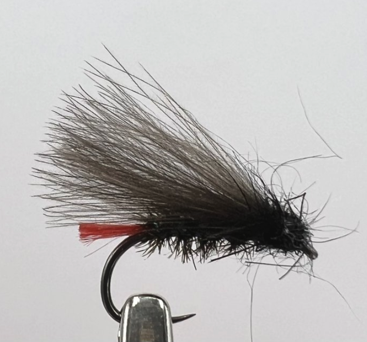 AzFishing AZ-Fishing Suchá Muška Chrostík Red Tag Velikost háčku: #12