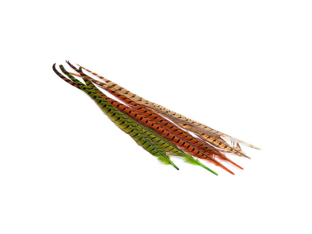 Hends Ocasní Pero z Bažanta Pheasant Tail Rusty (obrázek 4)