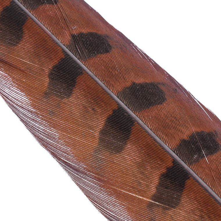 Hends Ocasní Pero z Bažanta Pheasant Tail Rusty