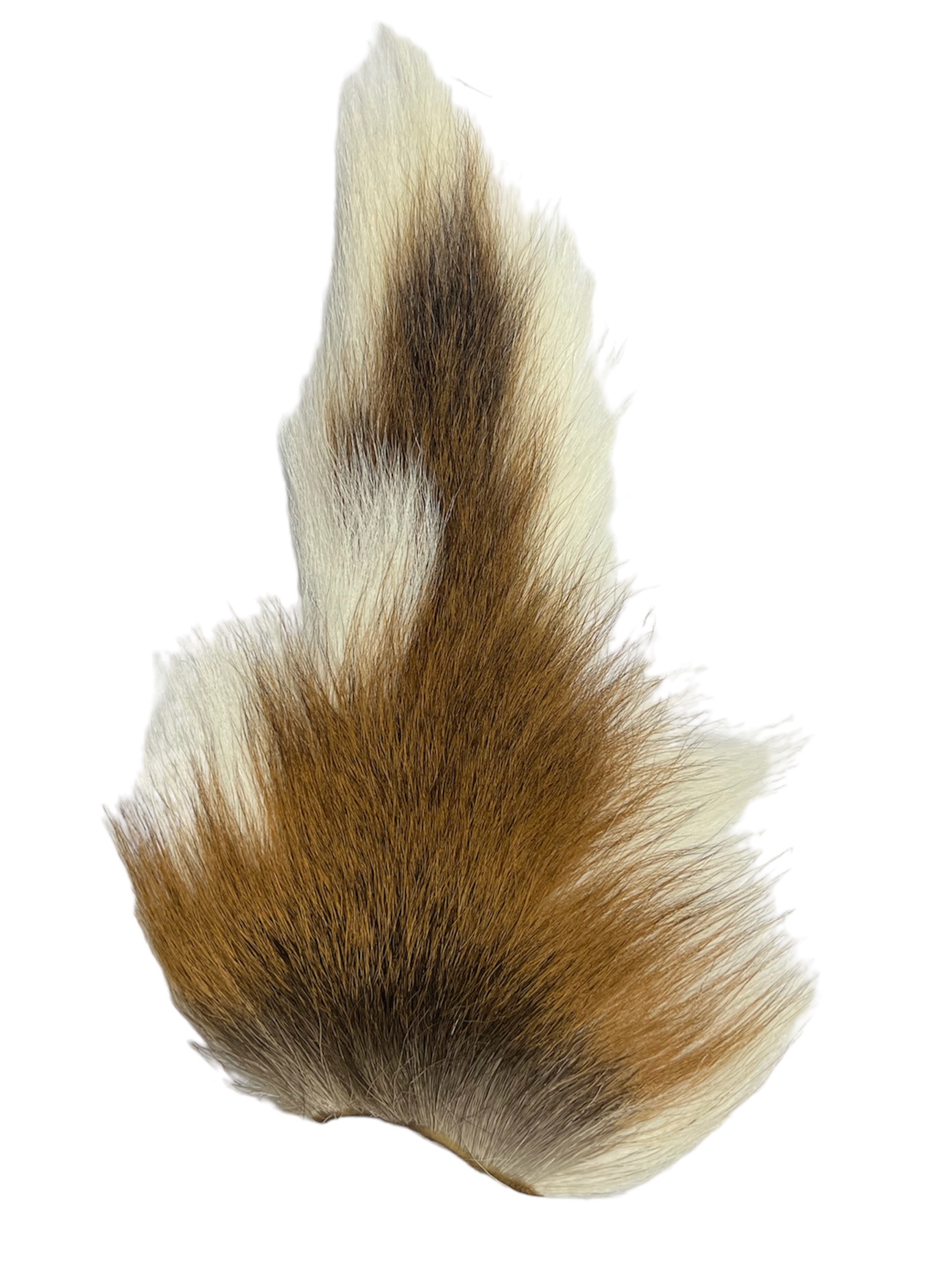 Veniard Jelení Ocas Buck Tails Whole Large Fluorescent White