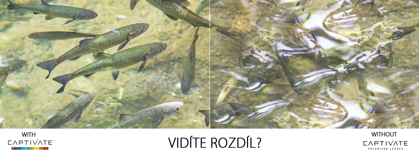 Wiley X Polarizační Brýle Alfa Captivate Polarized Copper Matte Havanna Brown - Obrázek 7