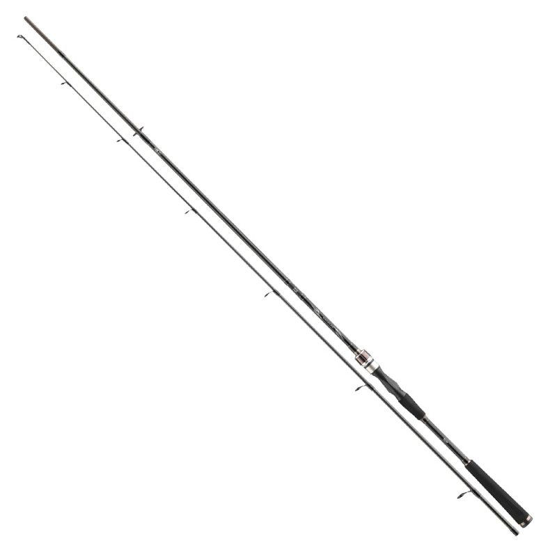Daiwa Prut Exceler Spin 2,7m 20-60g 2-díl