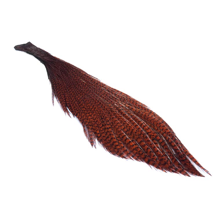 Wapsi Ewing Kohoutí Skalp Grizzly Half Capes Brown