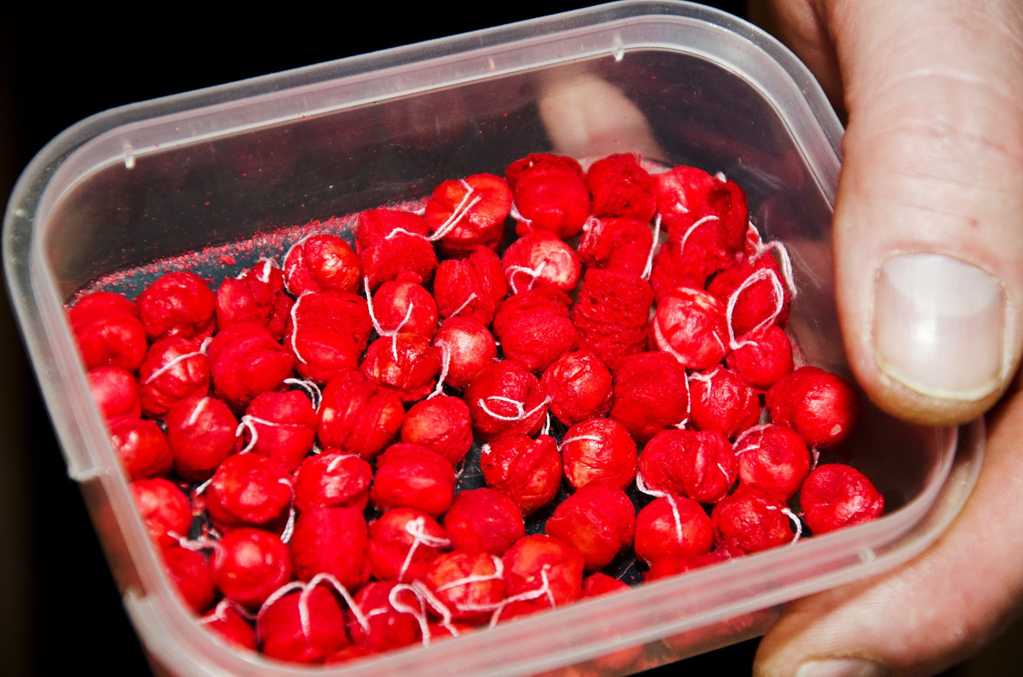 Chytil Rohlíkový Boilies Amur Hmotnost: 32g, Průměr: 14mm - Obrázek 3
