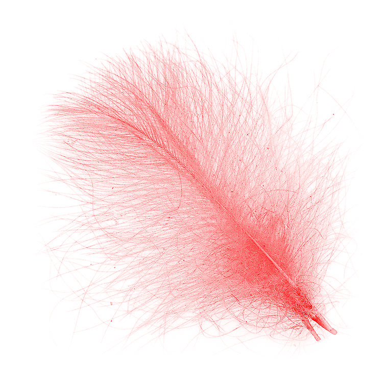 Hends CDC Peří Feathers Salmon 1g