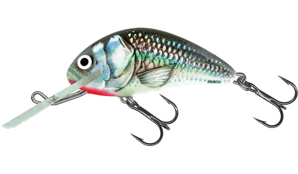 Salmo Wobler Hornet Sinking Holographic Grey Shiner Délka: 2,5cm, Hmotnost: 1,5g, Maximální ponor: 1m