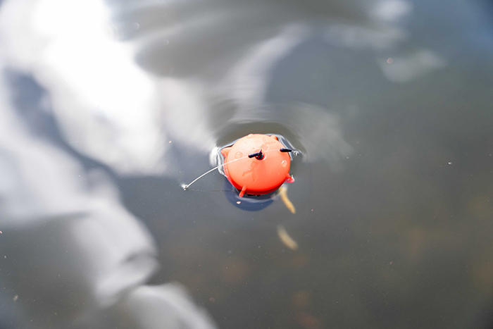 Korum Plovoucí Krmítko Floating Feeder (obrázek 9)