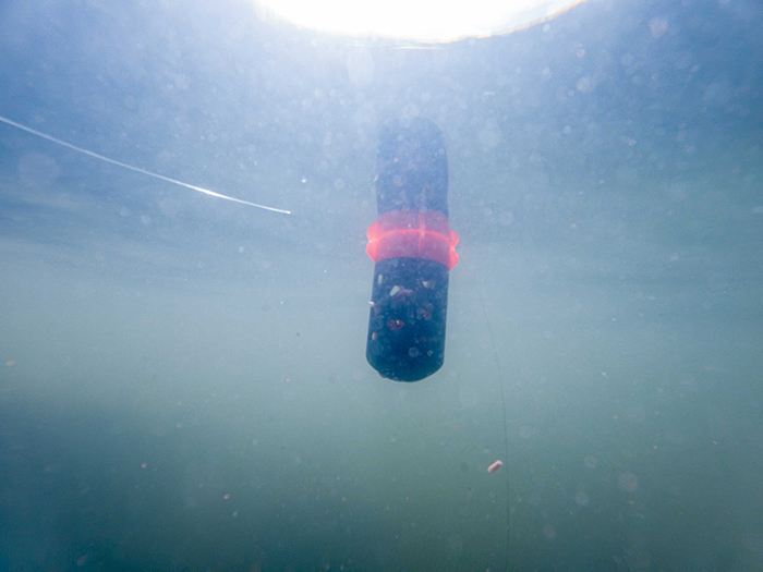Korum Plovoucí Krmítko Floating Feeder (obrázek 10)