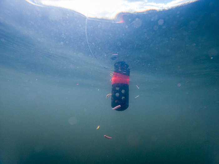 Korum Plovoucí Krmítko Floating Feeder (obrázek 11)