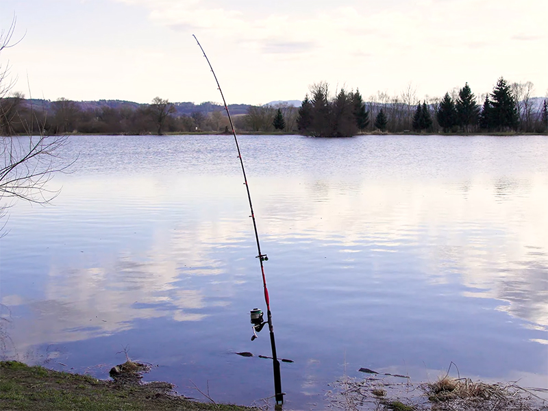 Delphin Prut Danger Catfish 2,55m 350g 2-díl - Obrázek 7
