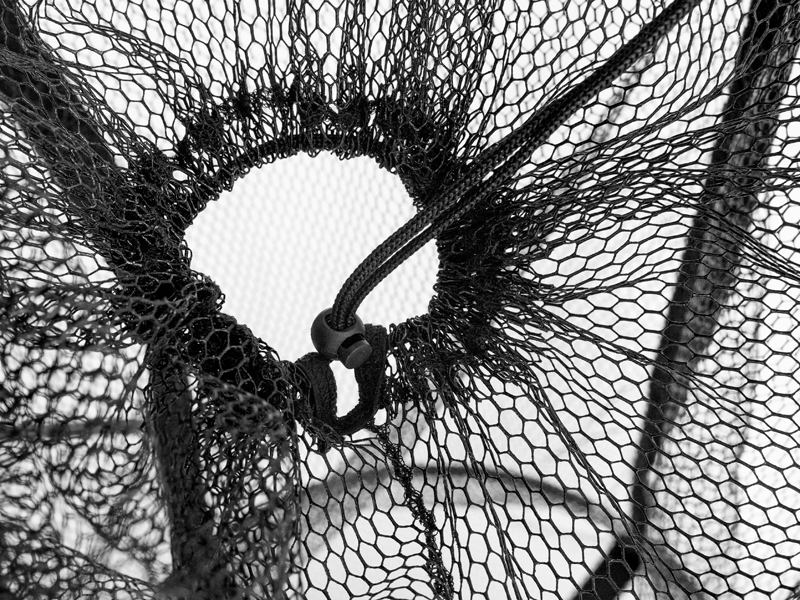 Delphin Plovoucí Vezírek na Nástražní Ryby BaitPOOL - Obrázek 2