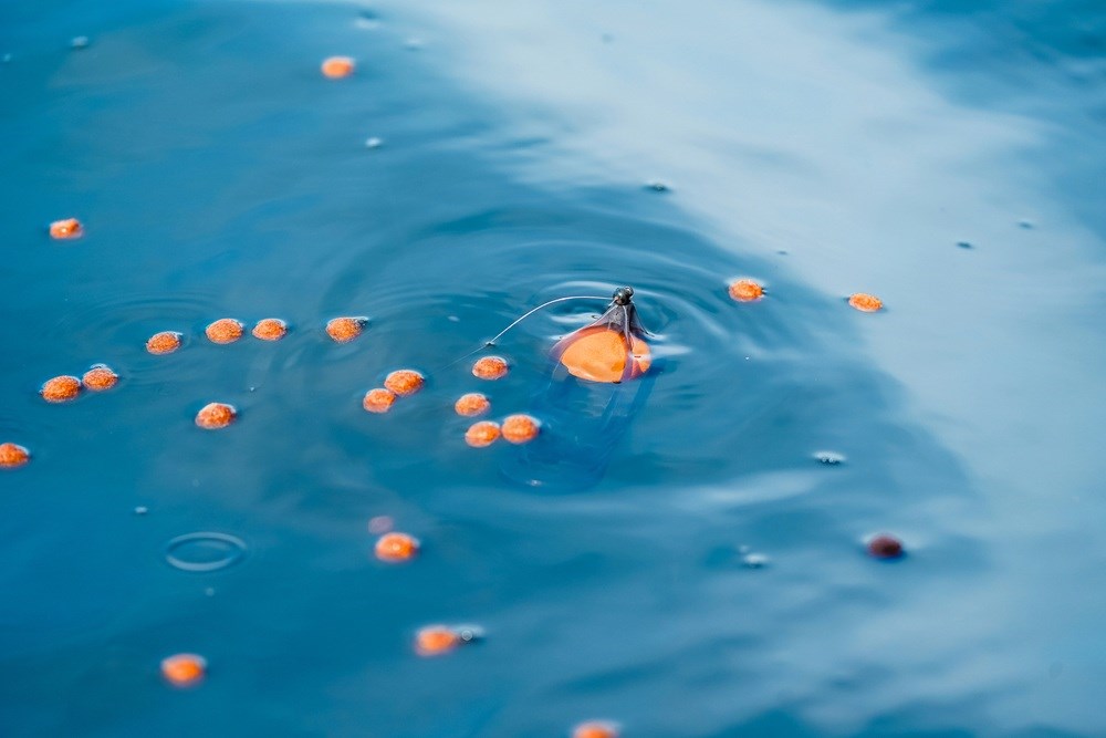 Korum Hladinový Splávek Surface Feeder Float (obrázek 8)
